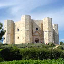 �f���E�����e��