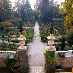 �p�h���@�̐A����