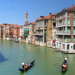 ���F�l�c�B�A�Ƃ��̊�