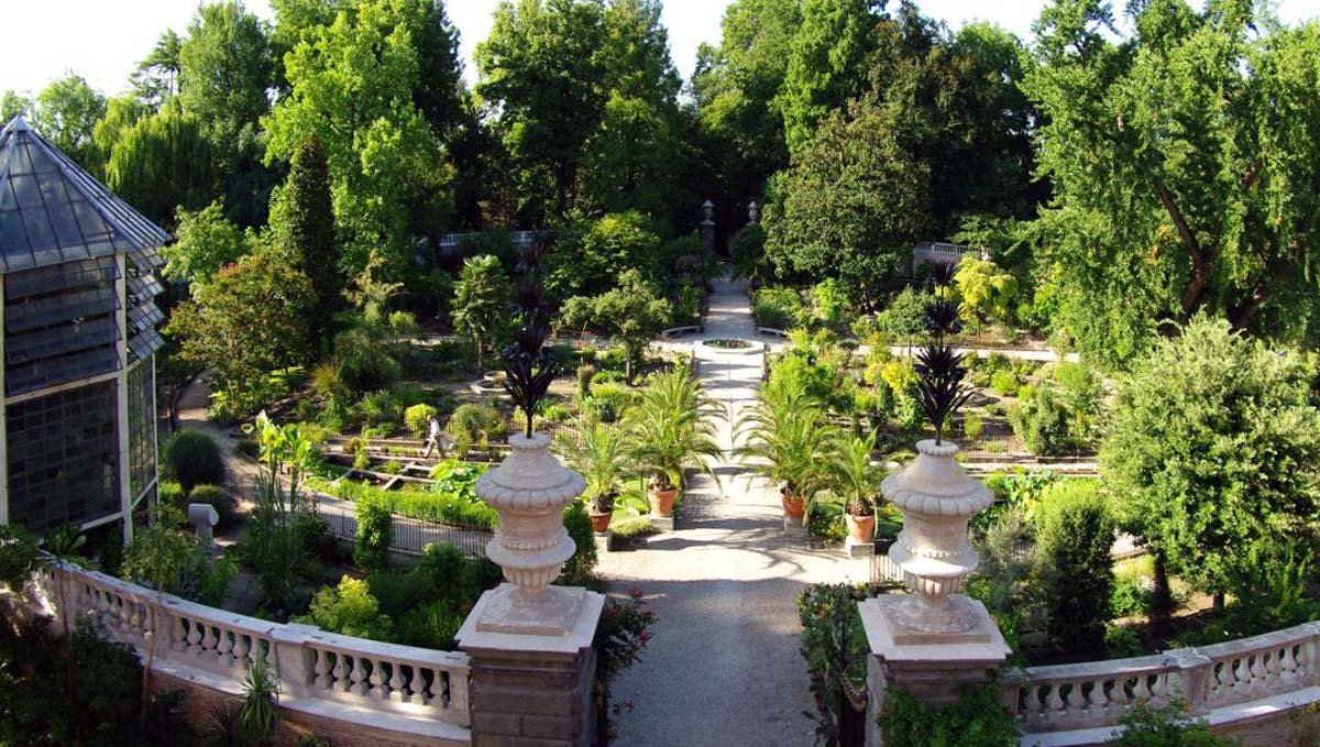 パドヴァの植物園
