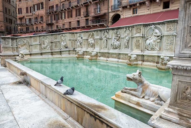 Fonte Gaia in Siena