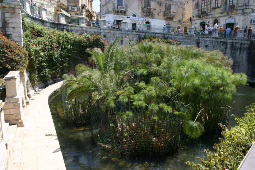 シラクーサ・アレトゥーサの泉（Fonte di Aretusa）