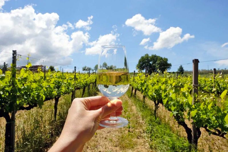 オルビエートのワイナリー