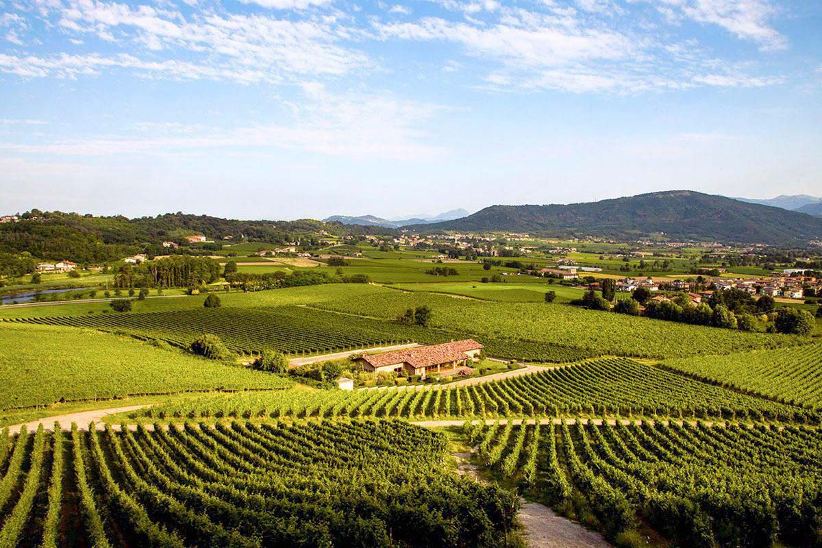 フランチャコルタ・ワイナリー見学