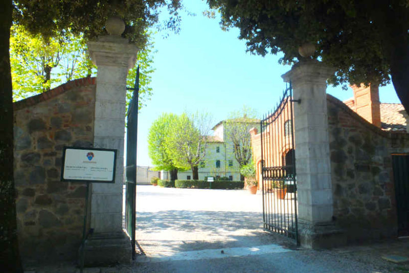 Winery Avignonesi