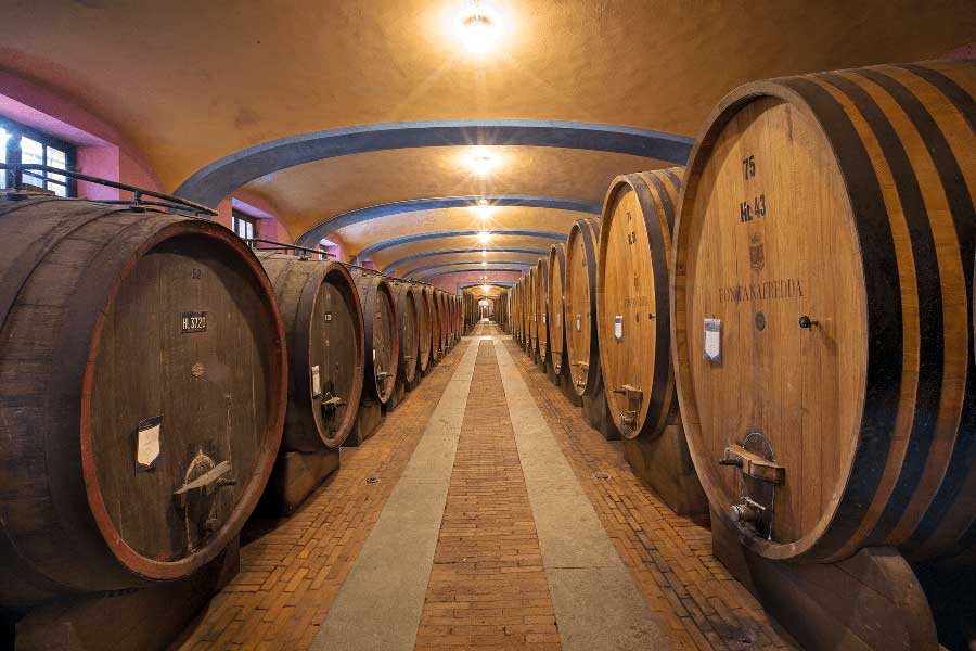 ワイナリー『フォンターナ・フレッダ』